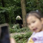 China eleva imposto sobre contraceptivos e zera taxa de creches a partir de 2026 5 ocrente 1767358176