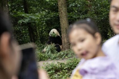 China eleva imposto sobre contraceptivos e zera taxa de creches a partir de 2026 16 ocrente 1767358176