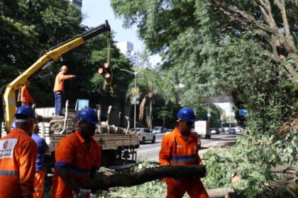 Governo aciona órgãos federais para investigar apagões recorrentes da Enel em SP 12 ocrente 1768235731