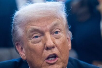 Trump afirma que Putin está disposto a assinar acordo de paz, mas Zelensky resiste 4 ocrente 1768501165