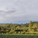 Metade das terras registradas no Brasil tem títulos sobrepostos e agrava conflitos agrários 4 ocrente 1768527258