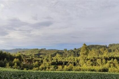 Metade das terras registradas no Brasil tem títulos sobrepostos e agrava conflitos agrários 4 ocrente 1768527258