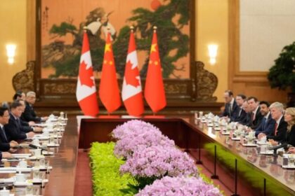 Canadá e China selam acordo preliminar que reduz tarifas sobre canola e libera entrada de carros elétricos 6 ocrente 1768568720