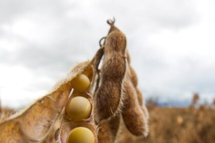 Juros altos e custos em ascensão apertam margens do agronegócio em 2026 18 ocrente 1768783844