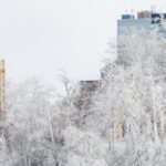 Tempestade de neve paralisa EUA: 13,4 mil voos cancelados e 230 mil residências sem energia 5 ocrente 1769350801