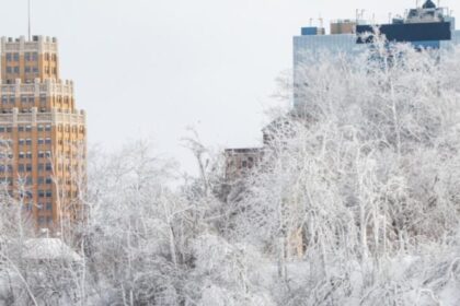 Tempestade de neve paralisa EUA: 13,4 mil voos cancelados e 230 mil residências sem energia 20 ocrente 1769350801