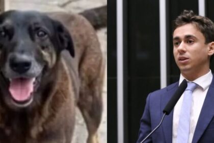 Nikolas Ferreira usa morte de cachorro em Florianópolis para pedir maioridade penal aos 16 anos 8 ocrente 1769708970