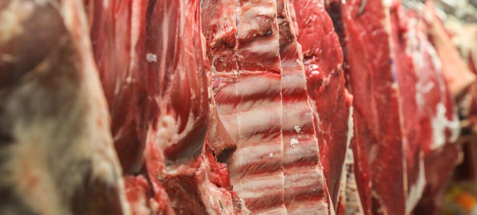 Governo prepara limite para exportação de carne bovina à China para evitar queda de preços 2 ocrente 1770833106