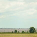 Angola oferece 60 mil hectares a produtores do Brasil em plano de US$ 120 milhões 5 ocrente 1771469363