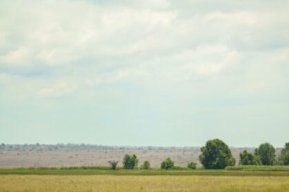 Angola oferece 60 mil hectares a produtores do Brasil em plano de US$ 120 milhões 16 ocrente 1771469363