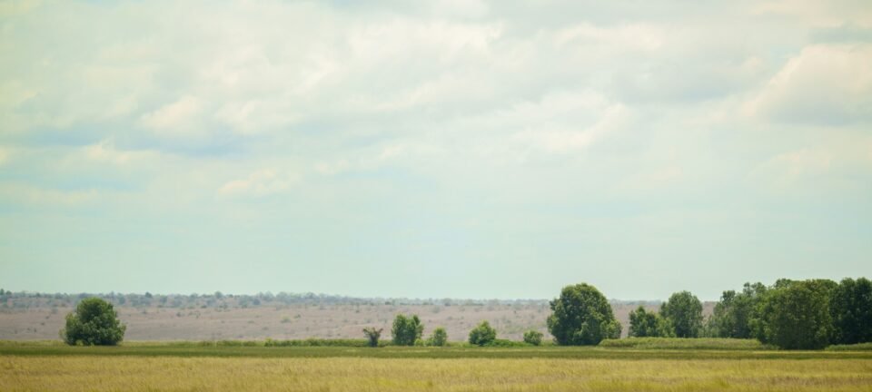 Angola oferece 60 mil hectares a produtores do Brasil em plano de US$ 120 milhões 2 ocrente 1771469363