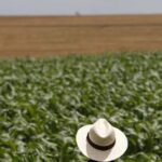 Escalada no Oriente Médio pressiona custos de fertilizantes, combustíveis e exportações do agro brasileiro 4 ocrente 1772587163