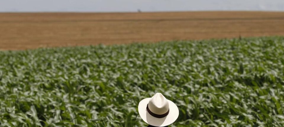 Escalada no Oriente Médio pressiona custos de fertilizantes, combustíveis e exportações do agro brasileiro 2 ocrente 1772587163