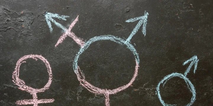 Grupo cristão reage a ministra britânica que defende meninos vestindo vestidos na escola 2 ocrente 1772650193