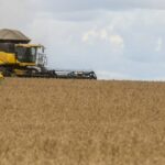 Diesel mais caro e escasso ameaça colheita de arroz e soja no país 5 ocrente 1773373789