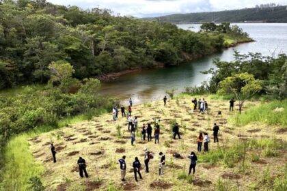 Justiça veta uso da Serrinha do Paranoá em plano de socorro ao BRB 12 ocrente 1774265698