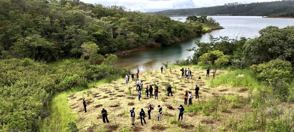 Justiça veta uso da Serrinha do Paranoá em plano de socorro ao BRB 2 ocrente 1774265698