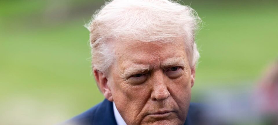 Trump diz que EUA “nunca esquecerão” ausência de ajuda da Otan no conflito com o Irã 2 ocrente 1774529425