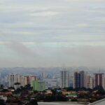 Polícia Civil mira quadrilha que arrecadou R$ 576 mil em um dia usando nome da Havan 4 ocrente 1774551000