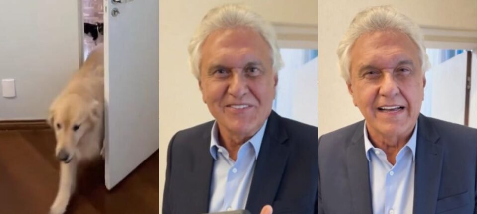 Caiado contesta Lula sobre custos com pets e atribui crise ao que chama de “corrupção” 2 ocrente 1774739967
