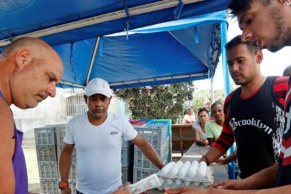 Cuba limita compra de ovos a cinco unidades por pessoa em Las Tunas 4 ocrente 1775059489