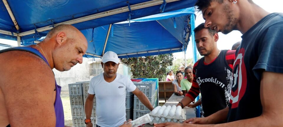 Cuba limita compra de ovos a cinco unidades por pessoa em Las Tunas 2 ocrente 1775059489