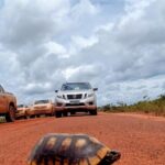 Estrada financiada pelo petróleo na Guiana deve reduzir em até oito dias o frete de grãos do Norte do Brasil 4 ocrente 1775668778
