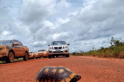 Estrada financiada pelo petróleo na Guiana deve reduzir em até oito dias o frete de grãos do Norte do Brasil 12 ocrente 1775668778