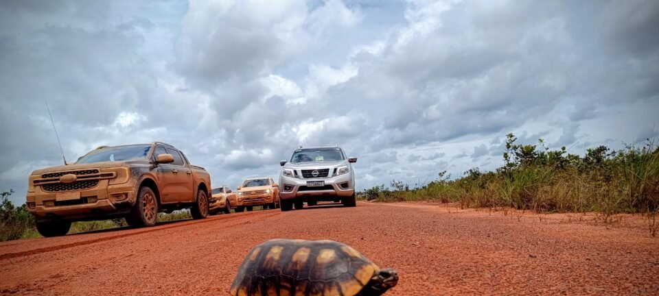 Estrada financiada pelo petróleo na Guiana deve reduzir em até oito dias o frete de grãos do Norte do Brasil 2 ocrente 1775668778
