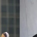 Carlos Bolsonaro cobra Valdemar Costa Neto e questiona “inércia” do PL 5 ocrente 1775929800