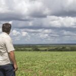 Possível fim da escala 6x1 elevaria em 9,6% o custo da hora trabalhada no campo, aponta Ipea 5 ocrente 1775956782