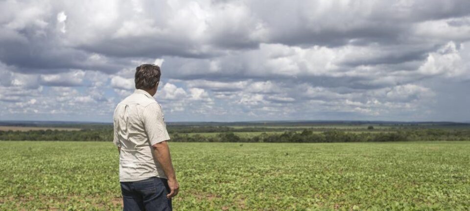 Possível fim da escala 6x1 elevaria em 9,6% o custo da hora trabalhada no campo, aponta Ipea 2 ocrente 1775956782
