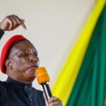 Deputado sul-africano Julius Malema pega cinco anos por posse ilegal de arma 4 ocrente 1776348317