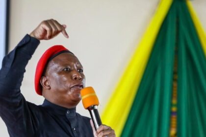 Deputado sul-africano Julius Malema pega cinco anos por posse ilegal de arma 14 ocrente 1776348317