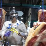 Projeto de carne de burro na Patagônia é confundido no Brasil com “fome” na Argentina 5 ocrente 1776690290