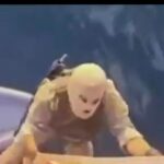 Irã divulga vídeos de militares tomando navios no Estreito de Ormuz e afirma que pedágios já estão sendo pagos 4 ocrente 1776951294