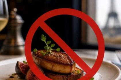 Câmara avaliza projeto que veta produção e venda de foie gras no país 12 ocrente 1777907053