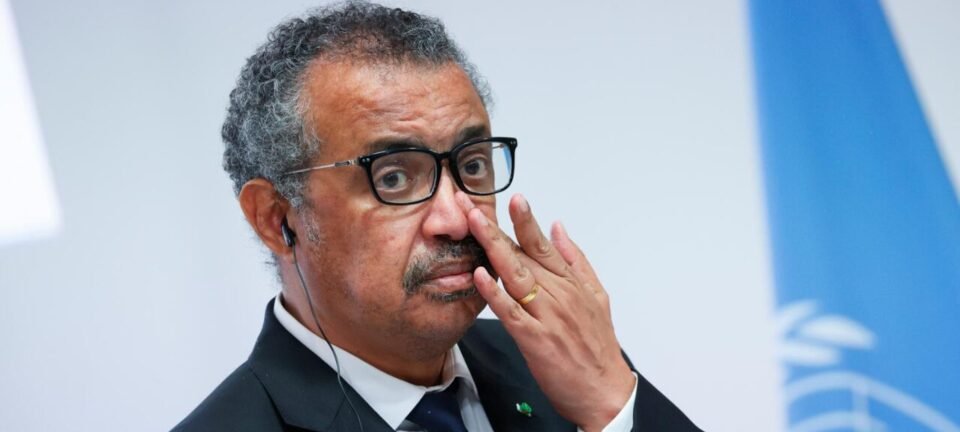 Tedros descarta nova pandemia em meio a surto de hantavírus a bordo de cruzeiro na Espanha 2 ocrente 1778357960
