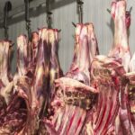 União Europeia barra carne brasileira e suspende compras a partir de setembro 4 ocrente 1778607285