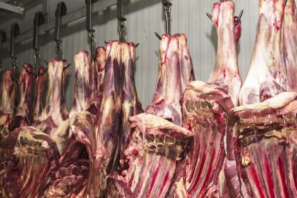 União Europeia exclui Brasil de lista de exportadores de carne e impõe restrição a partir de setembro 14 ocrente 1778615368