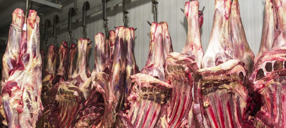 União Europeia exclui Brasil de lista de exportadores de carne e impõe restrição a partir de setembro 2 ocrente 1778615368
