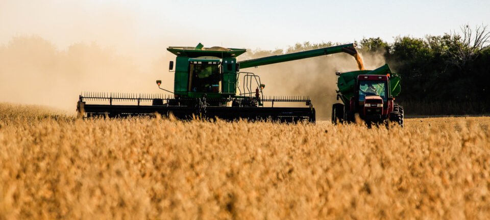 Agropecuária impulsiona economia e PIB cresce 1,1% no 1º trimestre de 2026 2 ocrente 1780059011