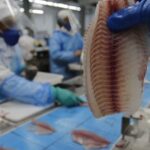 Conabio posterga decisão sobre espécies invasoras e cria grupo para definir critérios 5 ocrente 1780069845