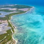“Amazônia Rosa”: estudo aponta até 450 possíveis novas espécies escondidas em algas do litoral brasileiro 5 ocrente 1780193060
