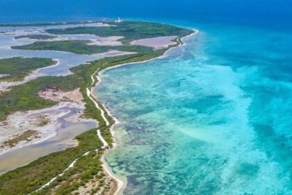 “Amazônia Rosa”: estudo aponta até 450 possíveis novas espécies escondidas em algas do litoral brasileiro 11 ocrente 1780193060
