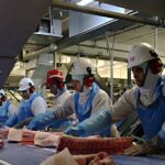 União Europeia suspende habilitação do Brasil para exportar carnes e outros produtos de origem animal 4 ocrente 1780751985