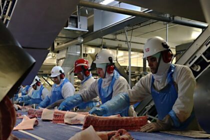 União Europeia suspende habilitação do Brasil para exportar carnes e outros produtos de origem animal 10 ocrente 1780751985