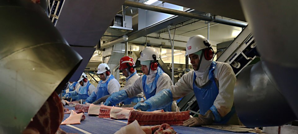 União Europeia suspende habilitação do Brasil para exportar carnes e outros produtos de origem animal 2 ocrente 1780751985