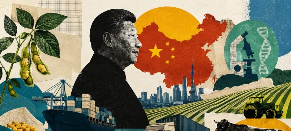 China acelera autossuficiência alimentar e ameaça US$ 55 bi do agro brasileiro 2 ocrente 1780890573