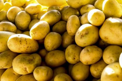 Alta nos alimentos puxa IPC-S e custo de vida já acumula 4,61% em 12 meses, aponta FGV 16 ocrente 1780926598